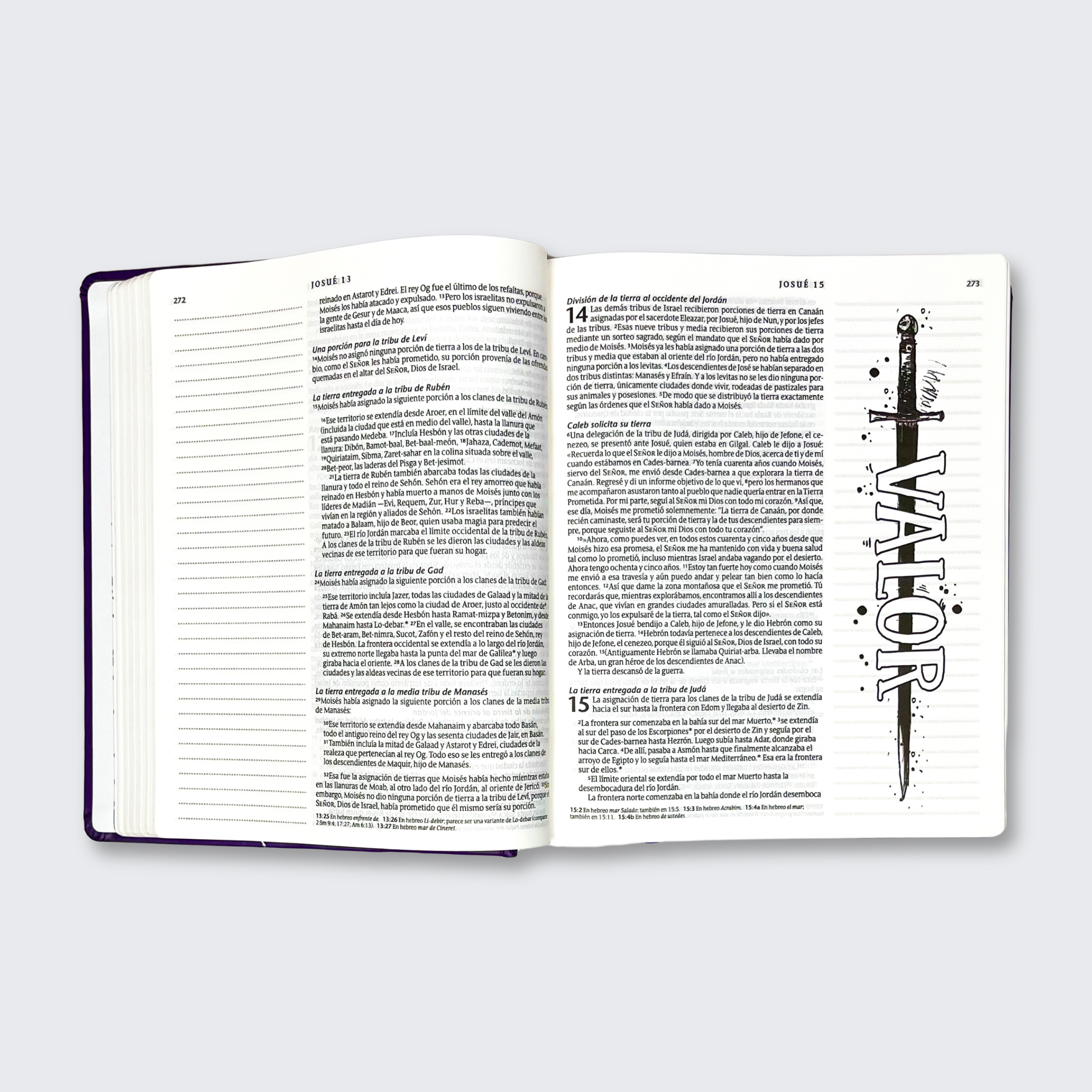 Biblia Inspira NTV, Enc. Dura, Morada (NTV Inspire Bible, Hardcover, Lavender)