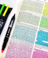 Highlighter bible marking kit zebrite